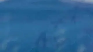 There is Life (English)