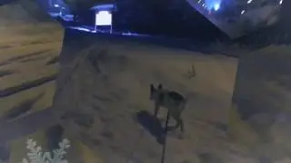 Winter night in Umea, Sweden
