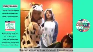 Naddy Sushi Vine Compilation   All Naddy Sushi Vines Malaysia Viner   Malay vines 2015   YouTube