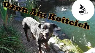 Ozon am Koiteich Streckenplanung