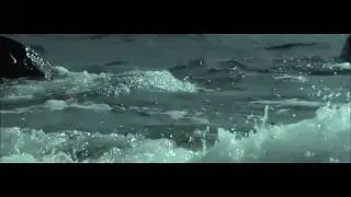 COLDBOUND - My Solace (OFFICIAL VIDEO)