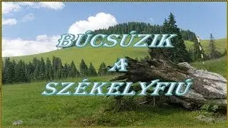 Bíró Sándor -  Búcsúzik a Székelyfiú