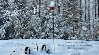 Floating Snow Ambient Music | Relaxing Winter Calm