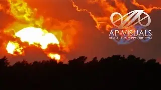 AP Visuals 2015
