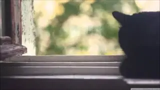 The Quell Collection  02   Distant Hearts Longing Part 2