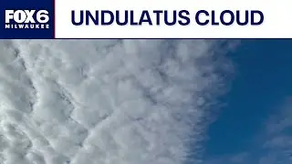 Wisconsin Weather Experts: Hurricane Melissa recovery, undulatus cloud science | FOX6 News Milwaukee