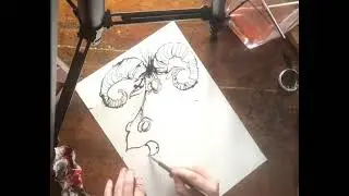 Balancing goat and the broken nib ( see it ?) KIERON SEAMONS