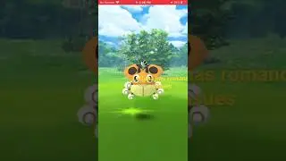 shiny ledyba