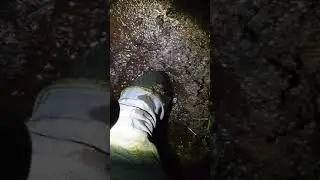 Albatros Gummistiefel stecken im Moor fest, versenkt
