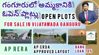 Low cost open plots for sale in #vijayawada #ganguru#bandarroad 