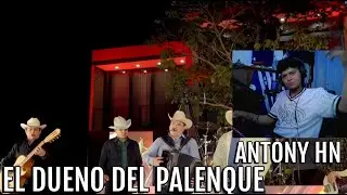 REACCIONANDO a “El Dueño del Palenque” de Los Alegres del Barranco 🔥🐓