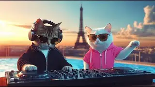DJ MIAWW Live &ndash; Chill House Grooves with the Coolest Cat Duo 🐾💕 | Love Beats by the Pool