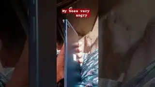 funny video #funnyvideos #funnyshorts