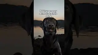 when the energy drink hits #redbull#fyp#funny#drink#energy#adhd#sub#shorts