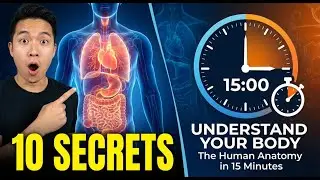 Understand Your Body: 10 Secrets of Human Anatomy in 15 Minutes