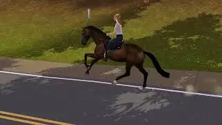 The Sims 3 | Default horse animation replacement