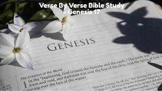 Verse By Verse Bible Study - Genesis 17 KJV