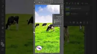 color picture into black and white in 1 click with photoshop