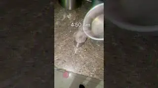 Daily morning challenge workout video #trending #viral #gym #shorts #Navratan squad #viralshorts