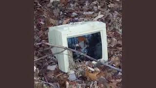 Raised By The World Wide Web