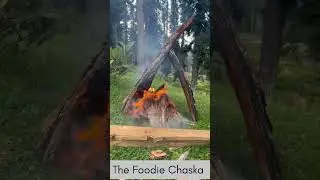 Barbecue Party In Woods 😊😊 #barbecue #tujji #foodinwood #jungle #primitivefood #roasted #party