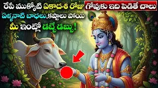 రేపే ముక్కోటి ఏకాదశి గోవుకు ఇది పెడితే చాలు ఏళ్ళనాటి బాధలు కష్టాలు పోయి మీ ఇంట్లో డబ్బే డబ్బు !