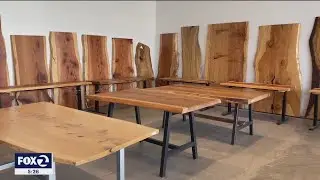 Компания из Ист-Бэй перерабатывает упавшие деревья для производства потрясающей мебели