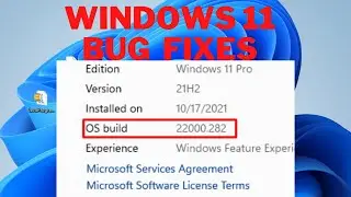 Windows 11 Build 22000.282 comes with many Improvements | Windows 11 Issues