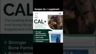 Cal + Leading Broodmare and young horse supplement in Europe