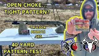 patterning the franchi affinity 3 with longbeard tss & .585 pinhoti
