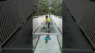 Teamwork on the Glass Bridge After the Rain