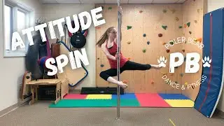 Pole Spins: Attitude