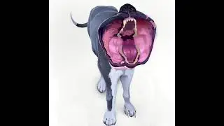 Digital Painting &ndash; Dog with Open Mouth