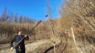 Al 3-lea an în care curăț livada de 300 de pomi din pădure 🍎🍏🫐🍒🍐✅✂️