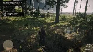 Red Dead Redemption 2 Ram's Head Mushroom Location