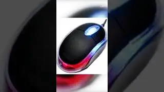 TYPES OF MOUSE