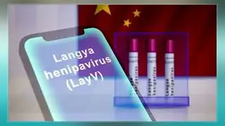 Langya Henipavirus