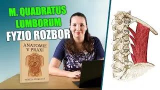 📖 ČTYŘHRANNÝ SVAL BEDERNÍ (m. quadratus lumborum) | Bolesti zad & SI kloubů  | ANATOMIE V PRAXI