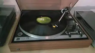 Paul & Linda McCartney - Long Haired Lady (vinyl)