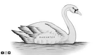 Swan Pencil drawing | How to draw and shade Swan | Bird drawing