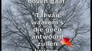 Als het chroom van blijdschap gaat verdwijnen