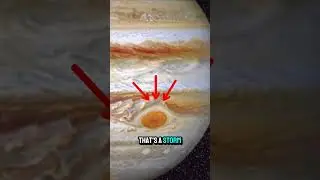 This Is The Biggest Planet That We Know Of! #crazy #space
