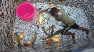 4K Aquarium Fish Tank Cleaning Method 2026