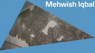 50,000 Hand Painted Human Figures | Mehwish Iqbal