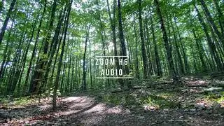 IPHONE 11PRO VS ZOOM H6