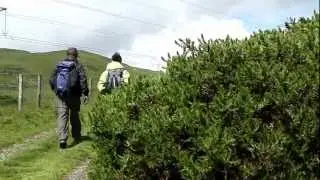 Foel Fras (HD)