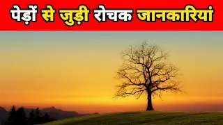 पेड़ों से जुड़ी 10 रोचक बातें | 10 Unknown Facts About Trees | Tree Facts In Hindi | #shorts