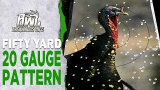Best 50 Yard 20 Gauge Pattern