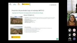 M&oacute;dulo II - Proyectos de Absorci&oacute;n: Los sumideros de carbono en municipios y sus metodolog&iacute;as