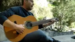 Luis el gatico  